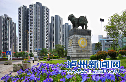 泸州主要街道，摆放鲜花，喜迎羊年新年。记者 牟科 摄