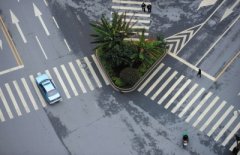 <b>湖南现“奇葩”斑马线：三条线交汇在花坛</b>