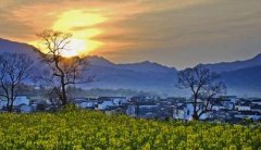 <b>2015年婺源赏油菜花攻略</b>