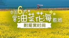<b>中国六大赏油菜花海胜地盘点</b>