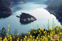<b>三峡水位消落现“春龟出水”独特景观</b>