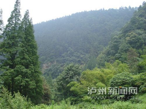 五仙山之一DSC04821