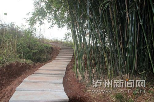 归雁山庄山间小道