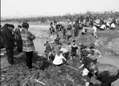 <b>江苏工地挖出古铜钱遭村民哄抢 专家称应上交</b>