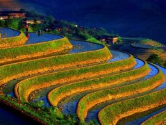 <b>再过半个月 全国最美的地方就被他们承包了</b>