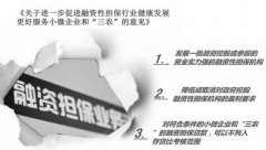 <b>四川融资担保再改革支持小微企业和“三农”成长</b>