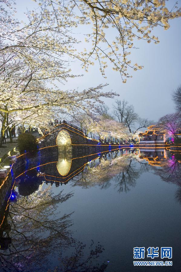 #（美丽中国）（2）夜赏樱花