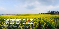 <b>泸州乡村游遇“成长的烦恼” 同质化竞争、交通拥堵等问题凸显</b>