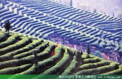 <b>泸州护国体验式乡村旅游 受市民青睐欢迎</b>
