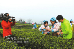 <b>泸州纳溪跻身四川茶产业十强 ＂中国名茶之乡＂迅速崛起</b>