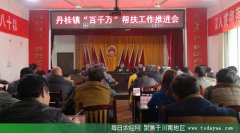 <b>泸州丹桂镇召开“百千万”帮扶工作推进会</b>