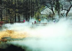 <b>北京植物园樱桃沟清明再现“林间仙境”</b>