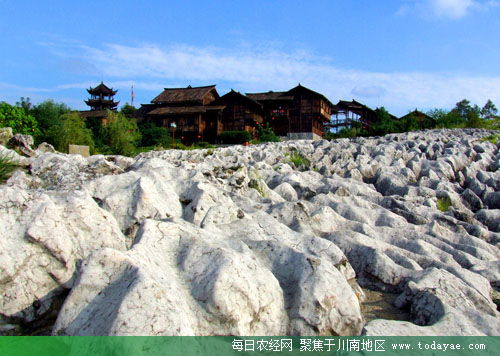 兴文石海.jpg