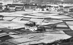 <b>农村垃圾治理迫在眉睫（美丽乡村建设面临的环境问题·聚焦“垃圾</b>
