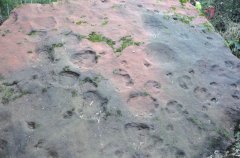 <b>泸州古蔺发现奇怪脚印化石 疑似恐龙猎杀场面</b>