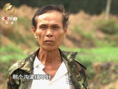 <b>海南上千亩荒地无人问津 水利设施失修成摆设</b>