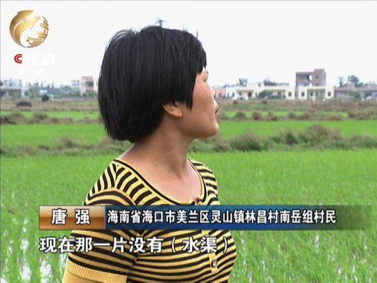 村民唐强家的十亩地中有五亩撂荒。原因之一是现在没有了水渠,无法灌溉。