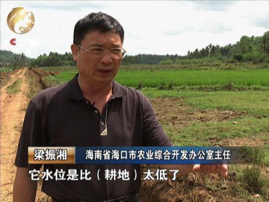 梁振湘告诉记者,水渠不能用,除了年久失修,主要还是原来的渠道设计不合理。