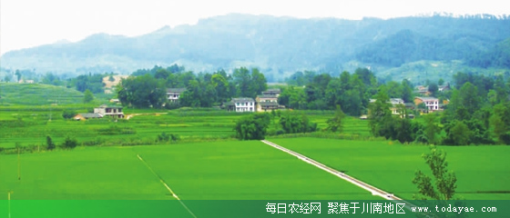 土地确权.jpg