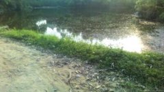 <b>宜宾一8岁小女孩钓龙虾 不慎掉落池塘溺亡</b>