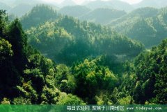 <b>今年 乐山力争完成退耕还林3.21万亩</b>