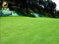 <b>贵州被取缔高尔夫球场私自营业 只接团队和熟客</b>