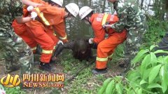 <b>成都：邛崃同一河道一天之内打捞起两具男女尸体</b>