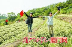 <b>厦门：都市农业助力美丽乡村建设</b>