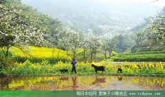 <b>今年 泸州旅游收入预计破230亿大关</b>