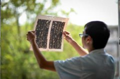 <b>四川古籍修复师修书像绣花 全省不到50人</b>