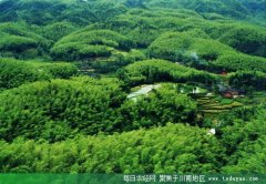 <b>宜宾晋升省级园林城市 将冲刺国家级</b>