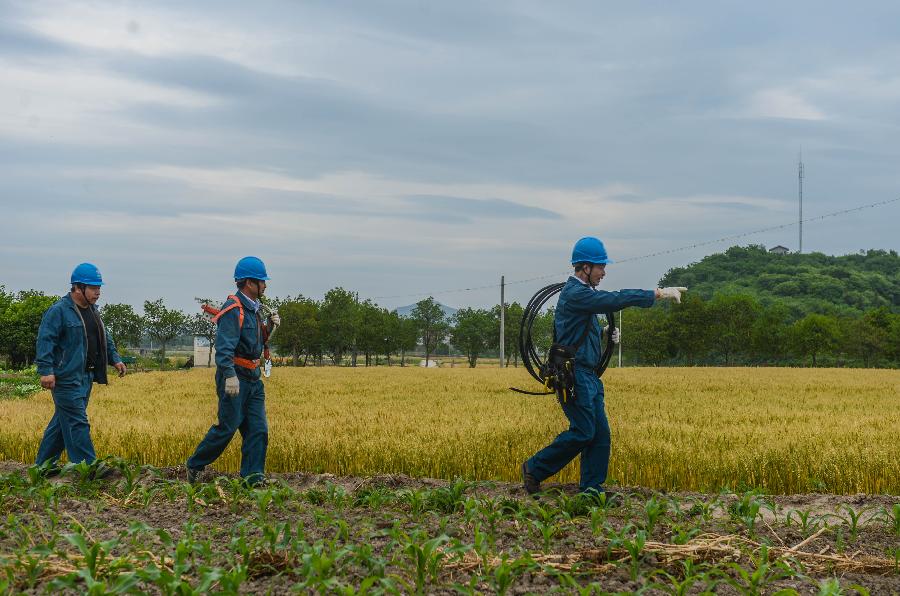 （社会）（2）浙江东阳：党员服务队助推美丽乡村建设