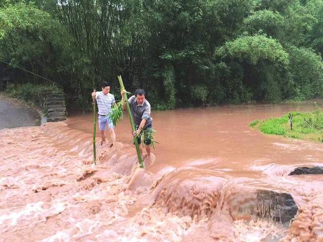 泸州一场大雨淹了路 老师撑竹竿去上课(图)