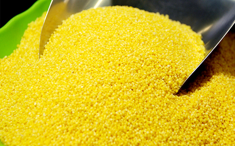 育种人的坚守与传承（上）