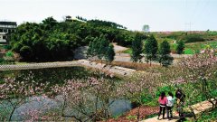 <b>代表分4路 参观考察四川幸福美丽新村</b>