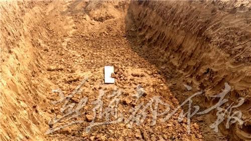 河北武邑惊现神秘古墓四具无棺古尸并排其中(图)