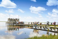 <b>若尔盖花湖国家级湿地保护区 游人高原生态旅游好去处</b>