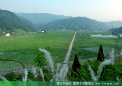 <b>泸州：精准扶贫与区域发展“双轮驱动”</b>
