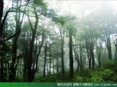 <b>川南第一峰 宜宾老君山规划通过省级评审</b>