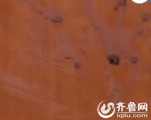 小张家的房门上还遗留着斑斑血迹，能明显看出当时小刘敲门求救时的血手印。（视频截图）