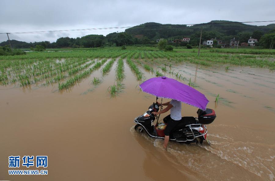 #（生态）（3）广西柳城遭暴雨袭击