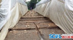<b>广汉三星堆发现一处疑似北城墙遗址 古城圈雏形初现</b>