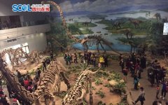 <b>自贡:恐龙博物馆再现侏罗纪盛世</b>