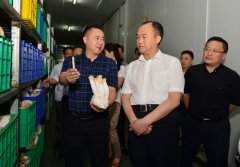 <b>四川南充：市委书记李仲彬在西充县调研现代农业发展情况</b>