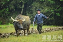 <b>南昌老市长退休后回乡创业 5年建成生态景区</b>