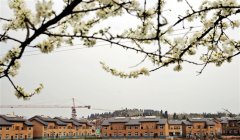 <b>今年 内江将建新村聚居点200个</b>
