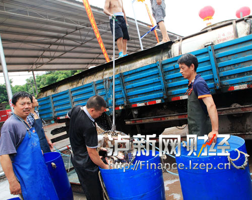 泸州最大水产批发市场搬迁