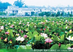 <b>风景如画 川南的小清新世界</b>