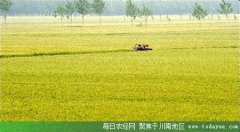 <b>2018年底前 四川全面建立放心粮油供应网络</b>