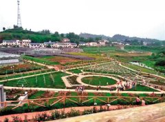 <b>盛夏的内江风景好 乡村旅游持续升温</b>